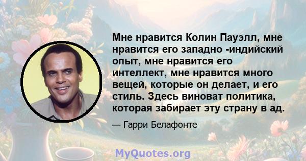 Мне нравится Колин Пауэлл, мне нравится его западно -индийский опыт, мне нравится его интеллект, мне нравится много вещей, которые он делает, и его стиль. Здесь виноват политика, которая забирает эту страну в ад.