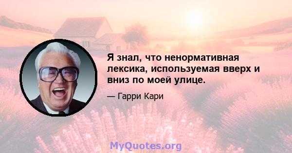 Я знал, что ненормативная лексика, используемая вверх и вниз по моей улице.