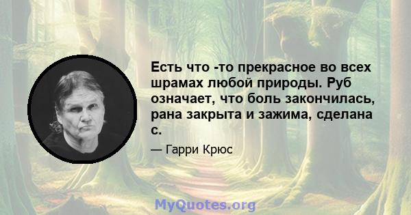 Есть что -то прекрасное во всех шрамах любой природы. Руб означает, что боль закончилась, рана закрыта и зажима, сделана с.