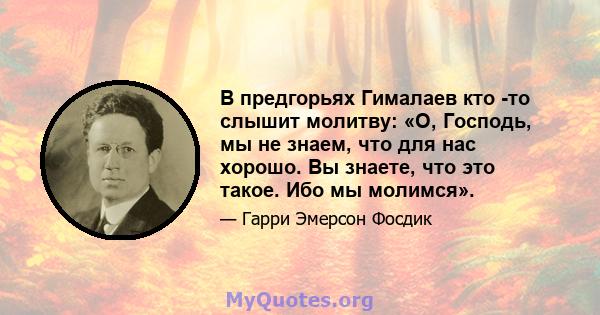 В предгорьях Гималаев кто -то слышит молитву: «О, Господь, мы не знаем, что для нас хорошо. Вы знаете, что это такое. Ибо мы молимся».