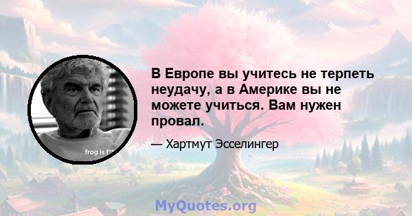 В Европе вы учитесь не терпеть неудачу, а в Америке вы не можете учиться. Вам нужен провал.