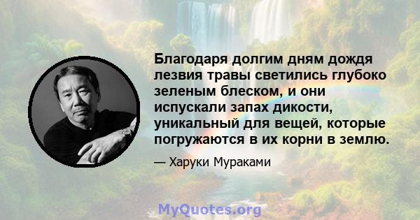 Благодаря долгим дням дождя лезвия травы светились глубоко зеленым блеском, и они испускали запах дикости, уникальный для вещей, которые погружаются в их корни в землю.