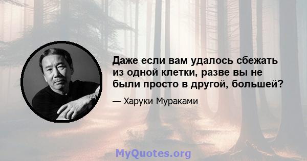 Даже если вам удалось сбежать из одной клетки, разве вы не были просто в другой, большей?