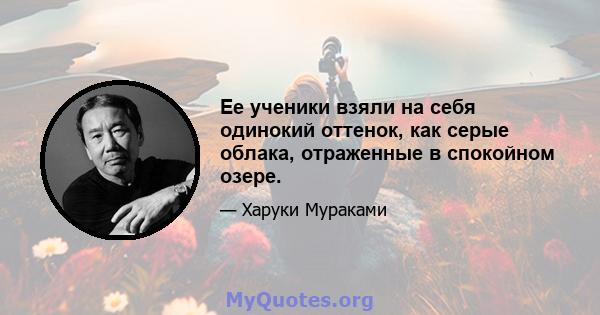 Ее ученики взяли на себя одинокий оттенок, как серые облака, отраженные в спокойном озере.