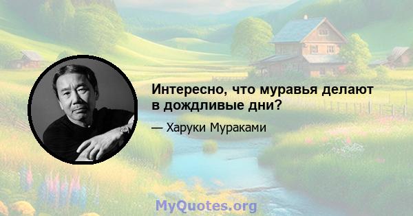 Интересно, что муравья делают в дождливые дни?