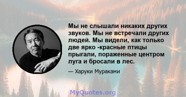 Мы не слышали никаких других звуков. Мы не встречали других людей. Мы видели, как только две ярко -красные птицы прыгали, пораженные центром луга и бросали в лес.