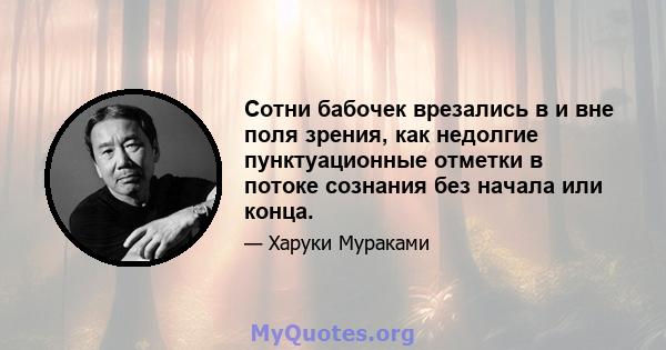 Сотни бабочек врезались в и вне поля зрения, как недолгие пунктуационные отметки в потоке сознания без начала или конца.