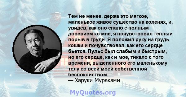 Тем не менее, держа это мягкое, маленькое живое существо на коленях, и, увидев, как оно спало с полным доверием ко мне, я почувствовал теплый порыв в груди. Я положил руку на грудь кошки и почувствовал, как его сердце