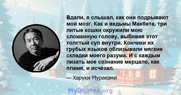 Вдали, я слышал, как они подрывают мой мозг. Как и ведьмы Макбета, три литые кошки окружили мою сломанную голову, выбивая этот толстый суп внутри. Кончики их грубых языков облизывали мягкие складки моего разума. И с