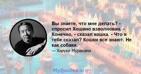 Вы знаете, что мне делать? - спросил Хошино взволнован. - Конечно, - сказал кошка. - Что я тебе сказал? Кошки все знают. Не как собаки.