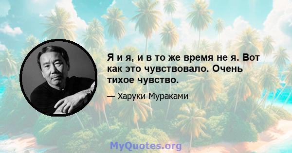 Я и я, и в то же время не я. Вот как это чувствовало. Очень тихое чувство.