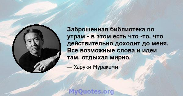 Заброшенная библиотека по утрам - в этом есть что -то, что действительно доходит до меня. Все возможные слова и идеи там, отдыхая мирно.