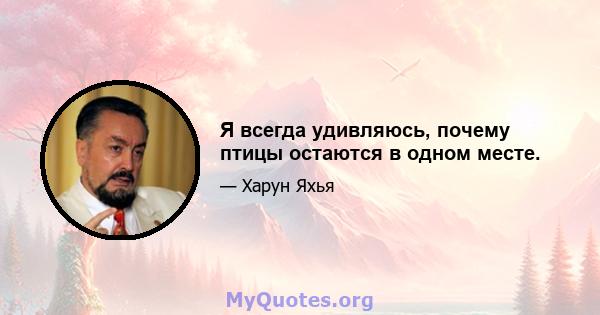 Я всегда удивляюсь, почему птицы остаются в одном месте.