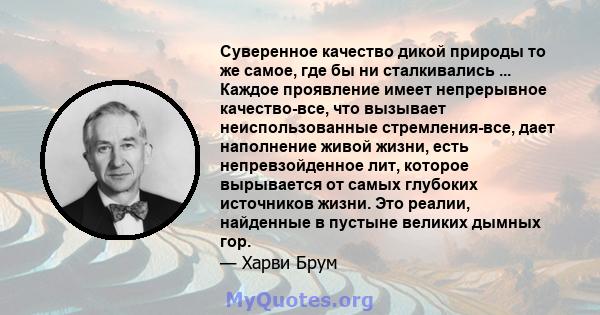 Суверенное качество дикой природы то же самое, где бы ни сталкивались ... Каждое проявление имеет непрерывное качество-все, что вызывает неиспользованные стремления-все, дает наполнение живой жизни, есть непревзойденное 