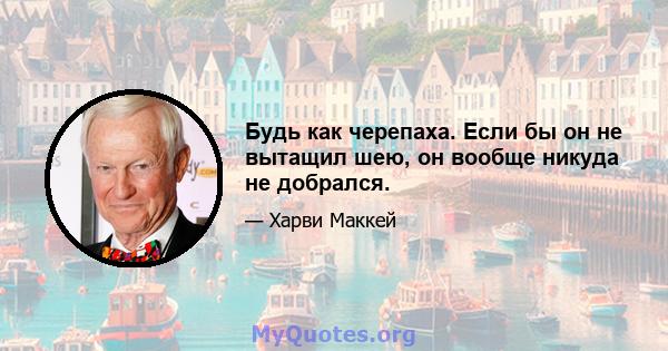 Будь как черепаха. Если бы он не вытащил шею, он вообще никуда не добрался.