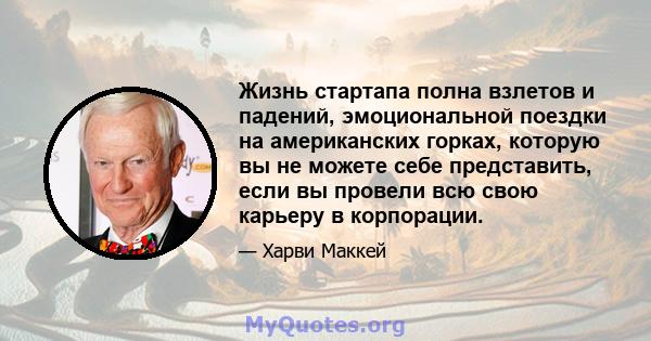 Жизнь стартапа полна взлетов и падений, эмоциональной поездки на американских горках, которую вы не можете себе представить, если вы провели всю свою карьеру в корпорации.