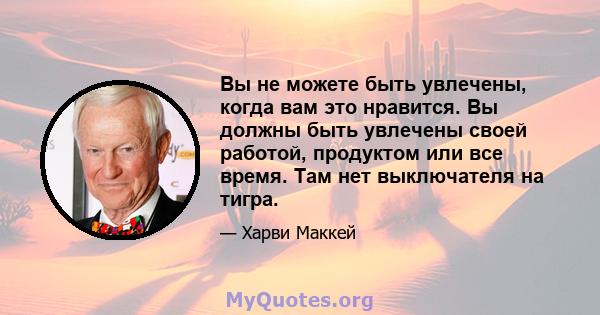 Вы не можете быть увлечены, когда вам это нравится. Вы должны быть увлечены своей работой, продуктом или все время. Там нет выключателя на тигра.