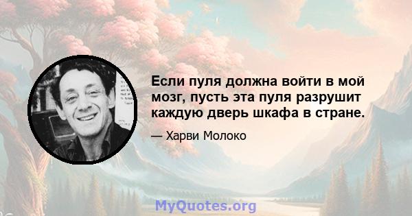 Если пуля должна войти в мой мозг, пусть эта пуля разрушит каждую дверь шкафа в стране.