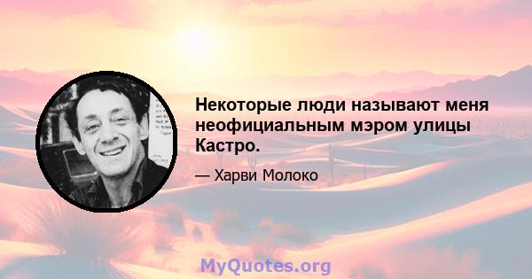 Некоторые люди называют меня неофициальным мэром улицы Кастро.