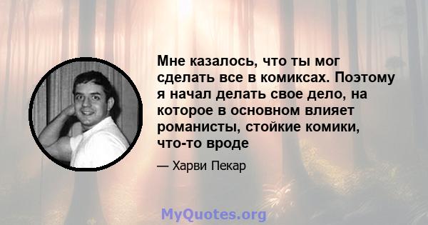 Мне казалось, что ты мог сделать все в комиксах. Поэтому я начал делать свое дело, на которое в основном влияет романисты, стойкие комики, что-то вроде