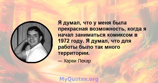 Я думал, что у меня была прекрасная возможность, когда я начал заниматься комиксом в 1972 году. Я думал, что для работы было так много территории.