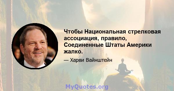 Чтобы Национальная стрелковая ассоциация, правило, Соединенные Штаты Америки жалко.