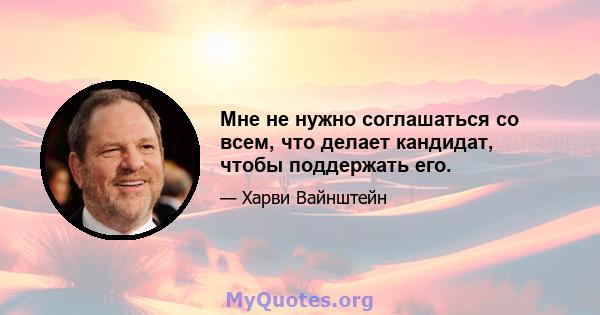 Мне не нужно соглашаться со всем, что делает кандидат, чтобы поддержать его.