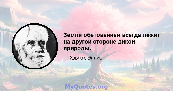 Земля обетованная всегда лежит на другой стороне дикой природы.