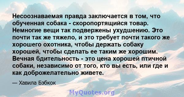 Несоознаваемая правда заключается в том, что обученная собака - скоропортящийся товар. Немногие вещи так подвержены ухудшению. Это почти так же тяжело, и это требует почти такого же хорошего охотника, чтобы держать