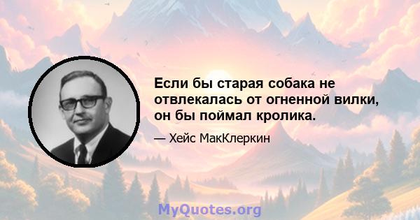 Если бы старая собака не отвлекалась от огненной вилки, он бы поймал кролика.