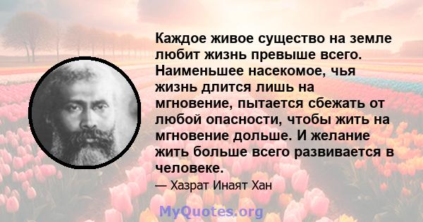 Каждое живое существо на земле любит жизнь превыше всего. Наименьшее насекомое, чья жизнь длится лишь на мгновение, пытается сбежать от любой опасности, чтобы жить на мгновение дольше. И желание жить больше всего