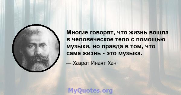 Многие говорят, что жизнь вошла в человеческое тело с помощью музыки, но правда в том, что сама жизнь - это музыка.