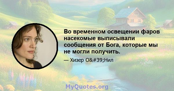 Во временном освещении фаров насекомые выписывали сообщения от Бога, которые мы не могли получить.