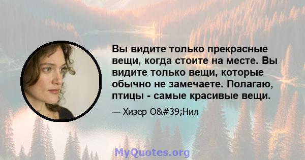 Вы видите только прекрасные вещи, когда стоите на месте. Вы видите только вещи, которые обычно не замечаете. Полагаю, птицы - самые красивые вещи.