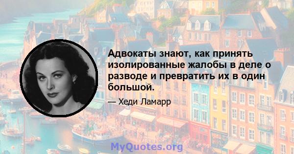 Адвокаты знают, как принять изолированные жалобы в деле о разводе и превратить их в один большой.