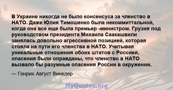 В Украине никогда не было консенсуса за членство в НАТО. Даже Юлия Тимошенко была некоммиттальной, когда она все еще была премьер -министром. Грузия под руководством президента Михаила Саакашвили занялась довольно