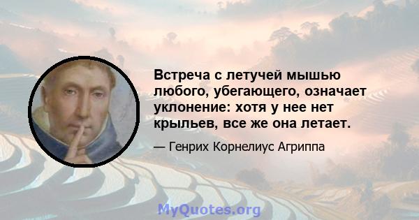 Встреча с летучей мышью любого, убегающего, означает уклонение: хотя у нее нет крыльев, все же она летает.