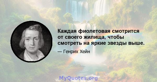 Каждая фиолетовая смотрится от своего жилища, чтобы смотреть на яркие звезды выше.