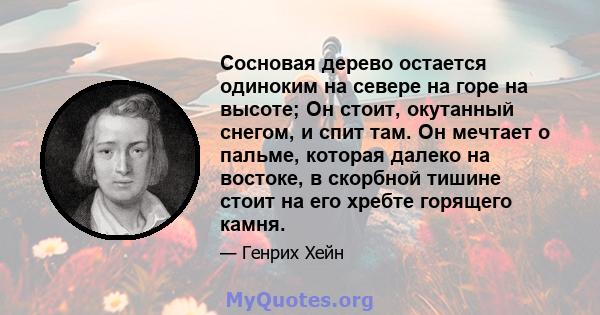 Сосновая дерево остается одиноким на севере на горе на высоте; Он стоит, окутанный снегом, и спит там. Он мечтает о пальме, которая далеко на востоке, в скорбной тишине стоит на его хребте горящего камня.