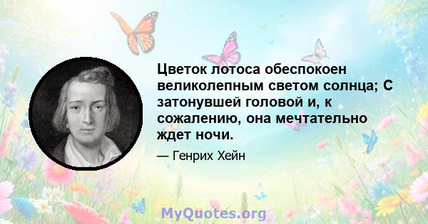 Цветок лотоса обеспокоен великолепным светом солнца; С затонувшей головой и, к сожалению, она мечтательно ждет ночи.