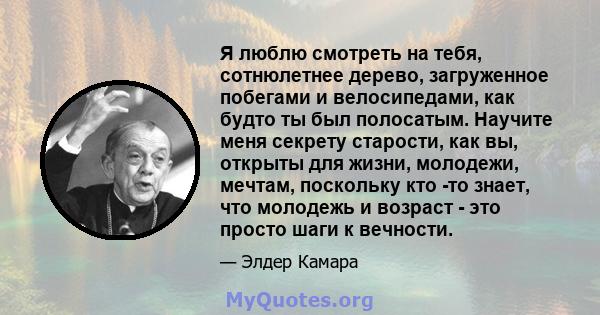 Я люблю смотреть на тебя, сотнюлетнее дерево, загруженное побегами и велосипедами, как будто ты был полосатым. Научите меня секрету старости, как вы, открыты для жизни, молодежи, мечтам, поскольку кто -то знает, что