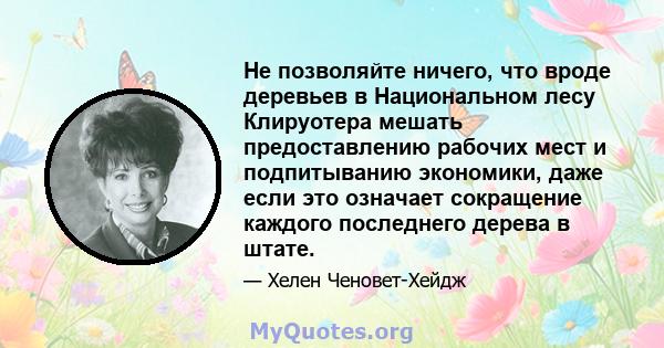 Не позволяйте ничего, что вроде деревьев в Национальном лесу Клируотера мешать предоставлению рабочих мест и подпитыванию экономики, даже если это означает сокращение каждого последнего дерева в штате.