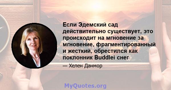 Если Эдемский сад действительно существует, это происходит на мгновение за мгновение, фрагментированный и жесткий, обрестился как поклонник Buddlei снег