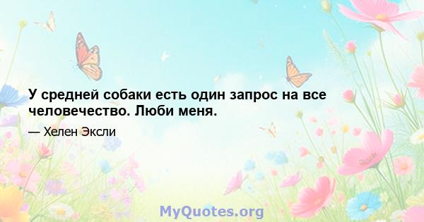 У средней собаки есть один запрос на все человечество. Люби меня.