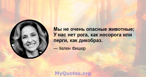 Мы не очень опасные животные; У нас нет рога, как носорога или перги, как дикобраз.