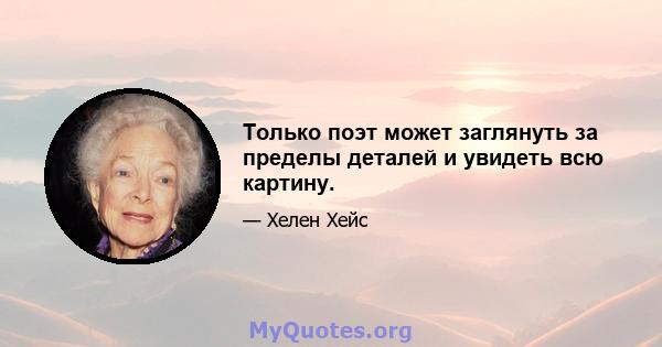 Только поэт может заглянуть за пределы деталей и увидеть всю картину.