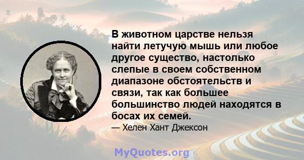 В животном царстве нельзя найти летучую мышь или любое другое существо, настолько слепые в своем собственном диапазоне обстоятельств и связи, так как большее большинство людей находятся в босах их семей.