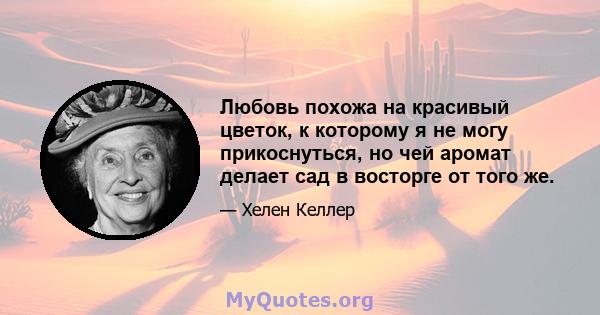 Любовь похожа на красивый цветок, к которому я не могу прикоснуться, но чей аромат делает сад в восторге от того же.