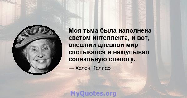 Моя тьма была наполнена светом интеллекта, и вот, внешний дневной мир спотыкался и нащупывал социальную слепоту.