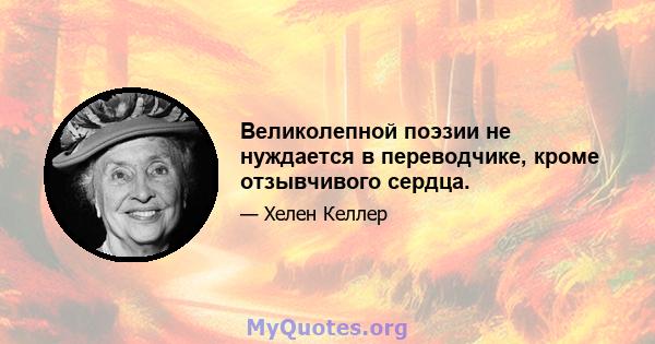 Великолепной поэзии не нуждается в переводчике, кроме отзывчивого сердца.